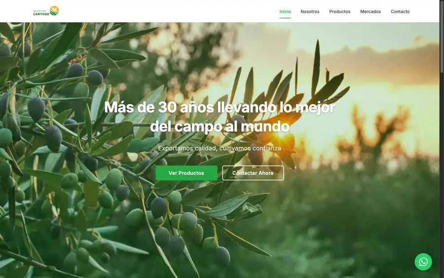 Captura del sitio web de camymar.com